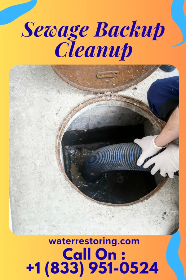 Sewage Backup Cleanup in Ashwood, SC